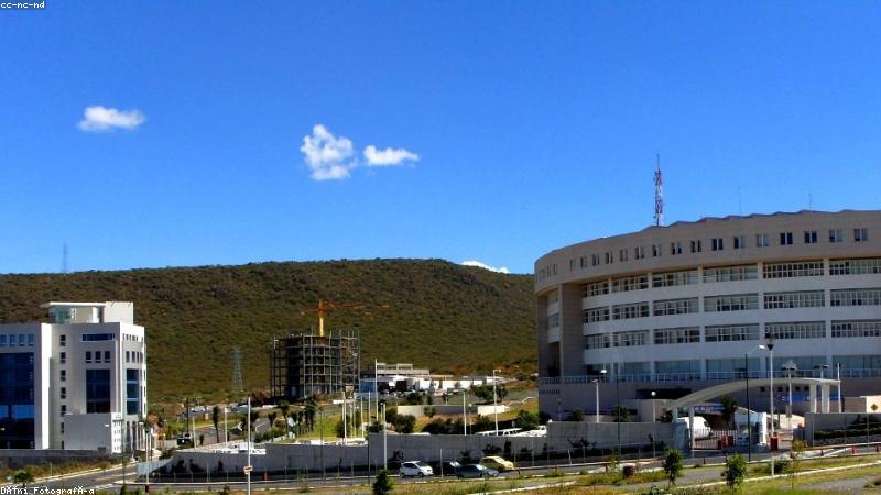 禁漫天堂官网网站专业企业服务团队协作场景